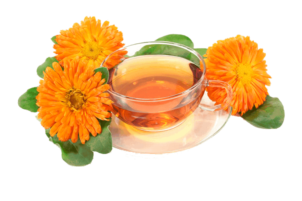 Extrato de Calêndula | Alquimia Aromatici