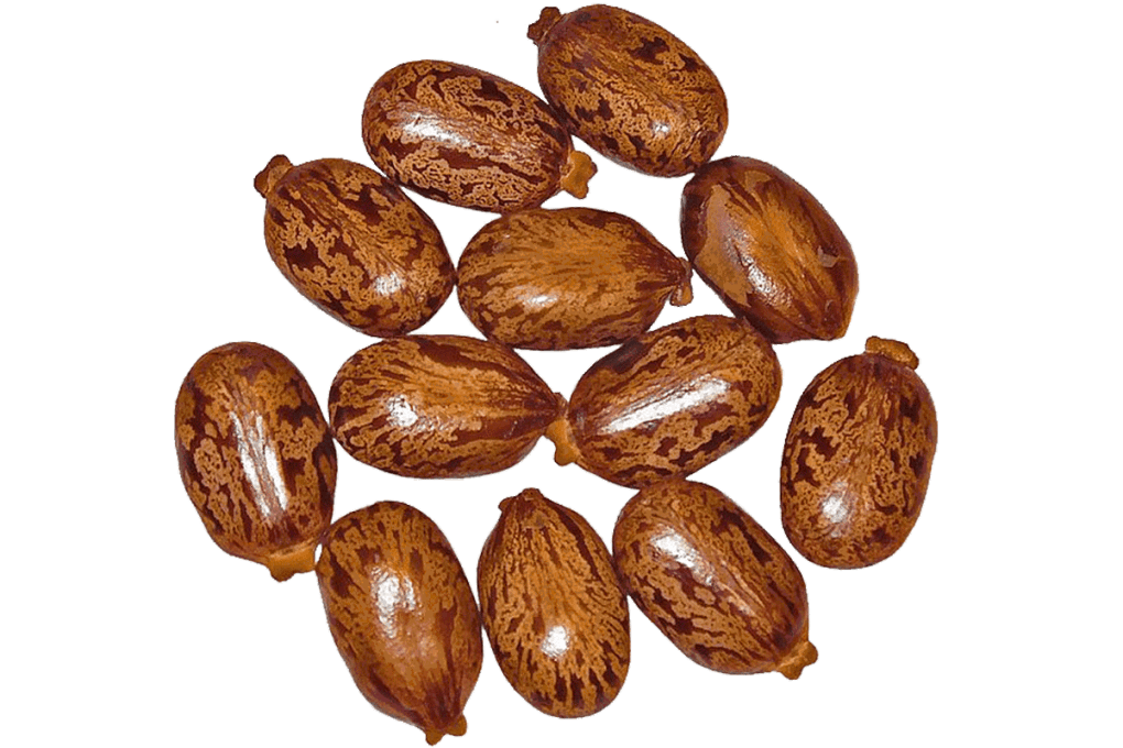 Manteiga de Karite | Alquimia Aromatici