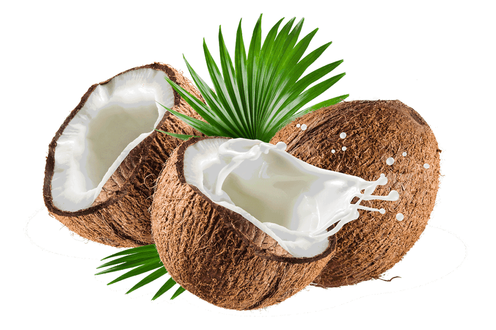 Óleo de Coco | Alquimia Aromatici